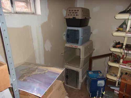 Estate Auction Near Me